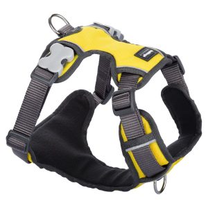 Red Dingo Padded Dog Harness - Medium