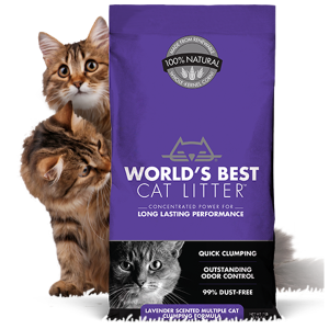 World's Best Cat Litter Scented Multiple Cat Clumping Cat Litter