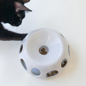 Pioneer Pet Tiger Diner Ceramic - Black